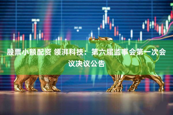 股票小额配资 领湃科技：第六届监事会第一次会议决议公告