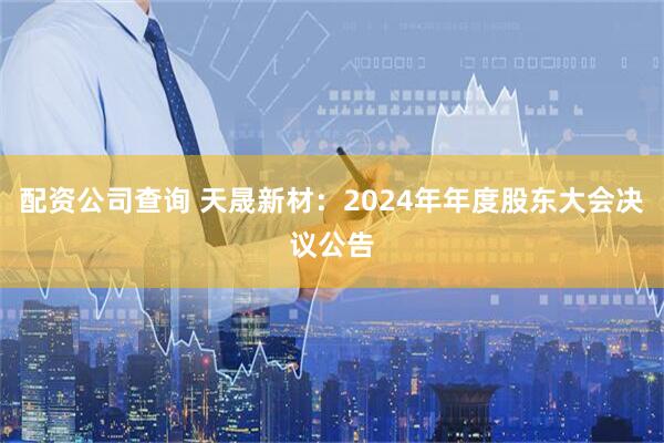 配资公司查询 天晟新材：2024年年度股东大会决议公告